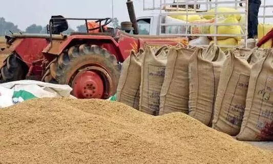 Paddy Procurement: छत्तीसगढ़ में बना धान खरीदी में नया कीर्तिमान: 149.25 लाख टन धान की हुई खरीदी, महासमुंद सबसे आगे