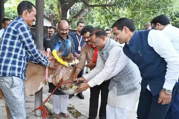 Chhattisgarh News: मुख्यमंत्री विष्णु देव साय ने गोवर्धन पूजा के अवसर पर की गोवंश की पूजा-अर्चना