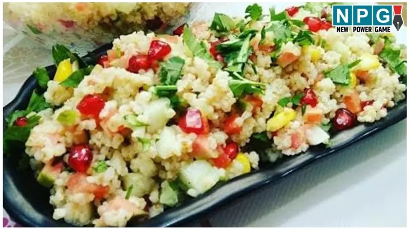 Daliya Salad Recipe: त्योहार के बाद पेट को दीजिए राहत दलिया सलाद के साथ, पढ़िए रेसिपी…