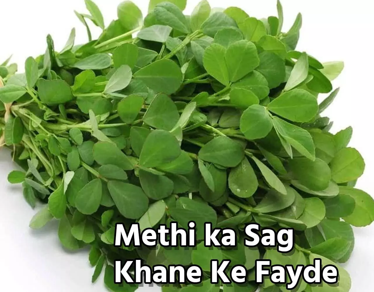 Methi ka Sag Khane Ke Fayde: मेथी भाजी का आ गया सीज़न, स्किन प्राॅब्लम्स, शुगर लेवल, कोलेस्ट्रॉल सब घटाने में है मास्टर, जानें कमाल के फायदे…