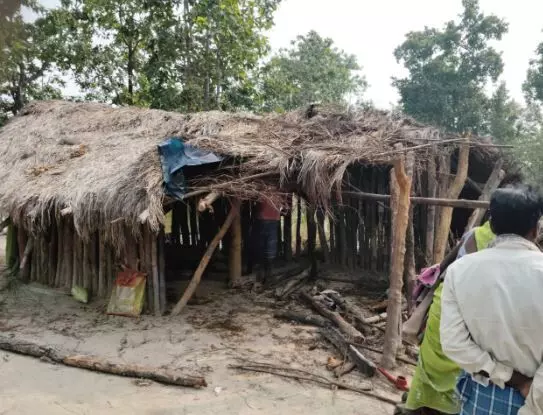 CG के सूरजपुर में हाथियों ने दो पंडों बच्चों को कुचलकर मार डाला, तीन महीने के भीतर 12 मौतें