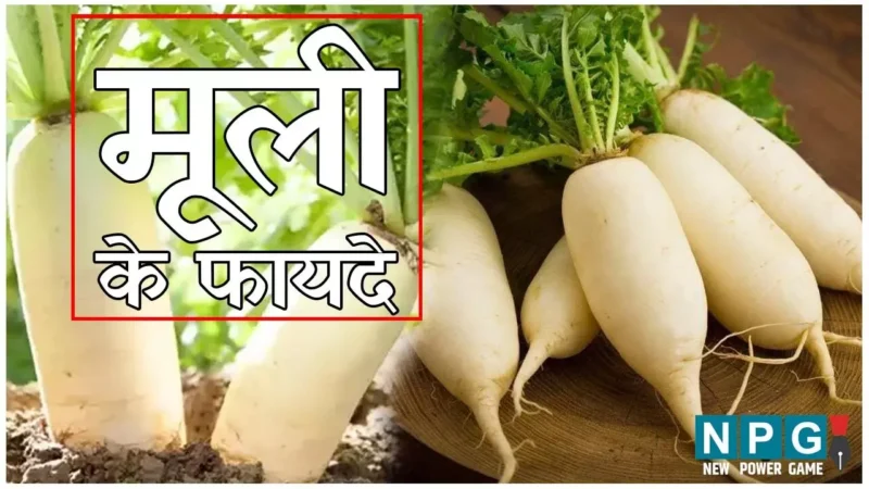 Mooli Khane Ke Fayde: कमर का घेरा घटाएगी मूली, शुगर भी करेगी कम, जानिए इसके बेमिसाल फायदे…