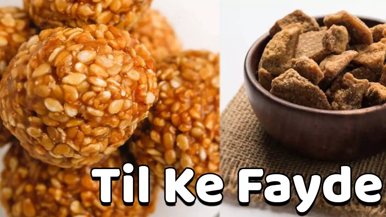 Til Ke Fayde: सर्दियों का सुपरफूड है तिल, शरीर को स्ट्राॅन्ग बनाने के साथ देगा लंबी आयु, रोज़ाना करें सेवन…