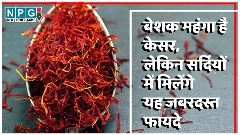 Saffron Health Benefits In Winters: बेशक महंगा है केसर, लेकिन डॉक्टर के लंबे पर्चे बराबर नहीं, रोजाना इस्तेमाल से सर्दियों में मिलेंगे यह जबरदस्त फायदे…