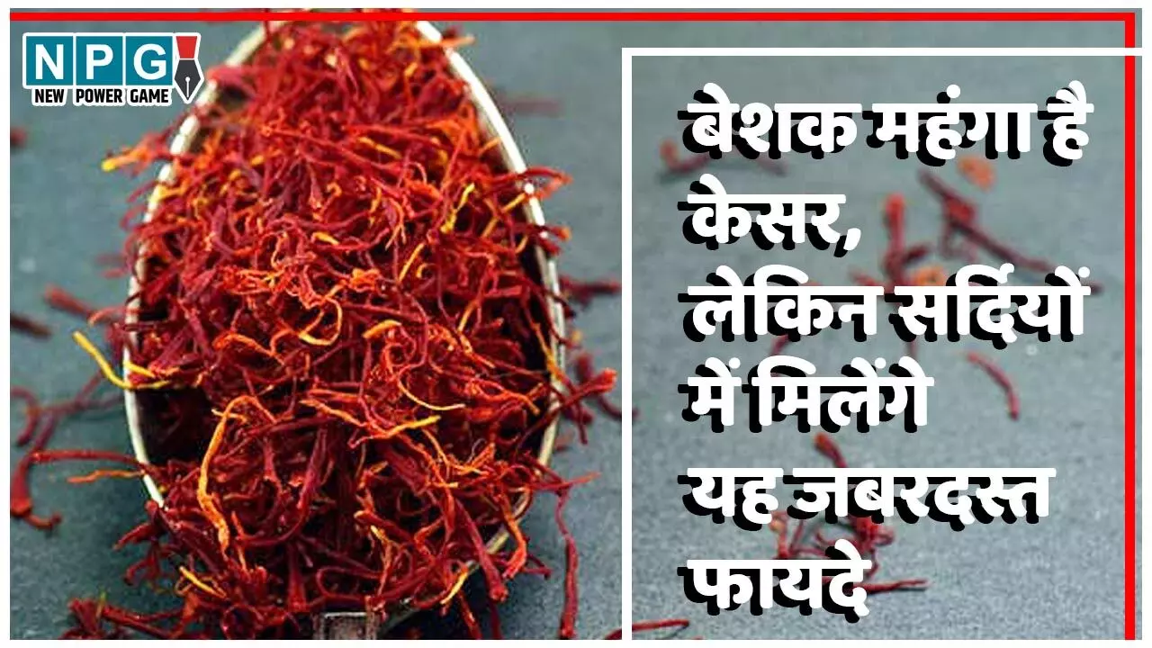 Saffron Health Benefits In Winters: बेशक महंगा है केसर, लेकिन डॉक्टर के लंबे पर्चे बराबर नहीं, रोजाना इस्तेमाल से सर्दियों में मिलेंगे यह जबरदस्त फायदे…