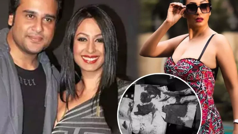 Kashmera Shah Accident: भयंकर एक्सीडेंट का शिकार हुई कॉमेडियन कृष्णा की वाइफ, खून से सने कपड़े देख सभी हैरान, देखिए…