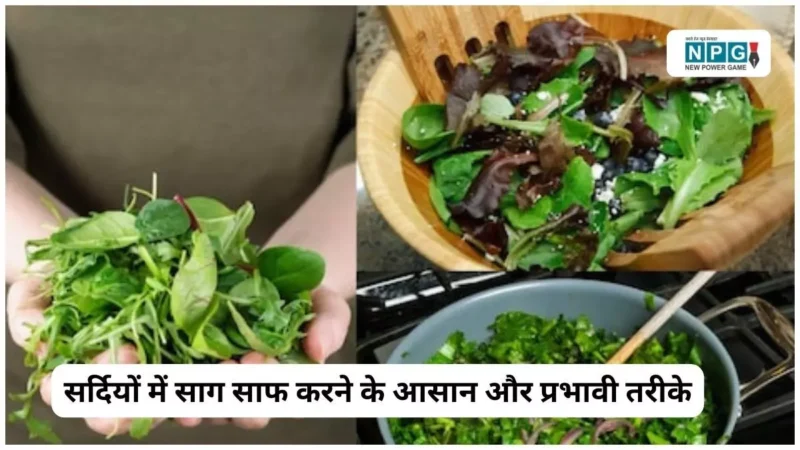 सर्दियों में साग साफ करने के आसान और प्रभावी तरीके