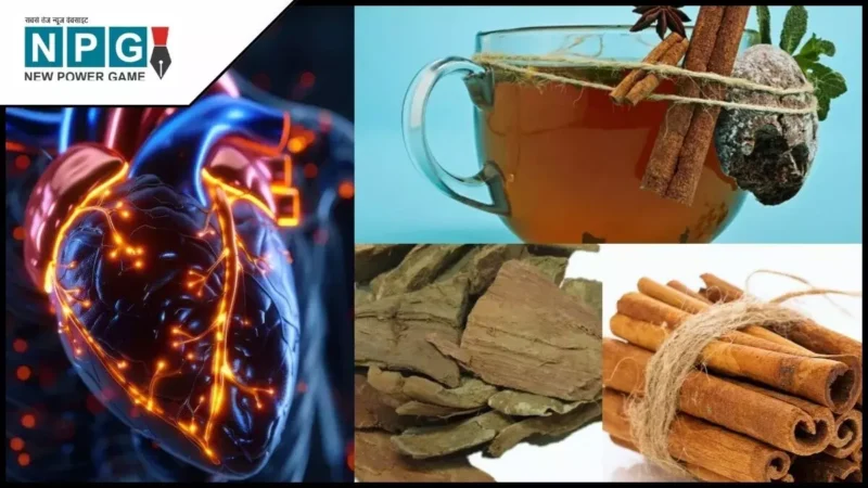 हार्ट ब्लॉकेज कारण और आयुर्वेदिक समाधान