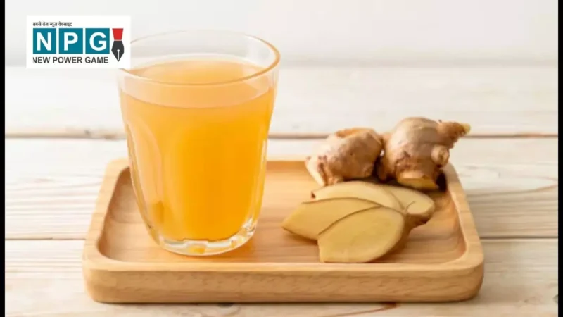 अदरक सर्दियों की औषधि और स्वास्थ्य का वरदान