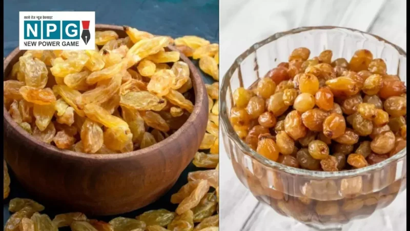 Raisins: खून की कमी को दूर करने का प्राकृतिक उपाय
