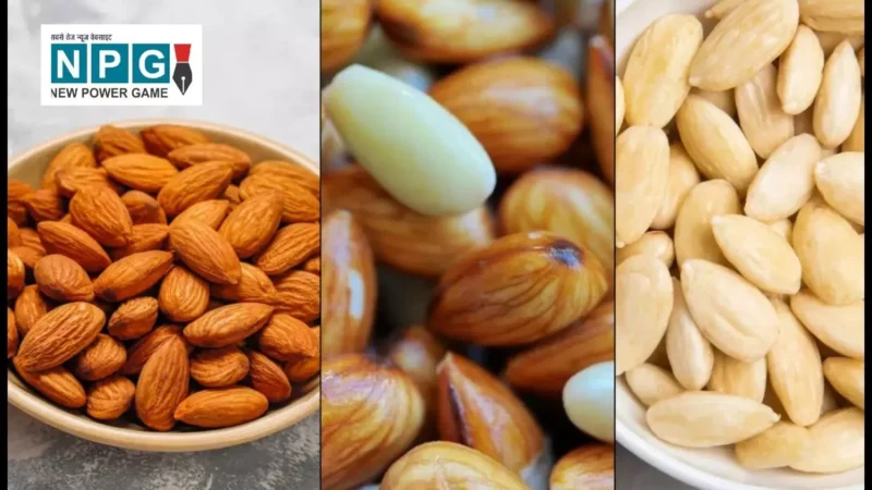 सर्दियों में बादाम खाने के फायदे और सही तरीका