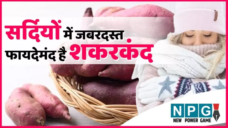 Sweet Potato Benefits: सर्दियों का सुपर फूड है शकरकंद, बिना समय बर्बाद कर डाइट में कीजिए शामिल…