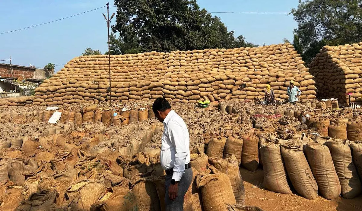 Mahasamund News: महासमुंद में अवैध धान परिवहन व भण्डारण पर कार्रवाई जारी, अभी तक 54 प्रकरण में 5 हजार से अधिक क्विंटल धान जब्त…