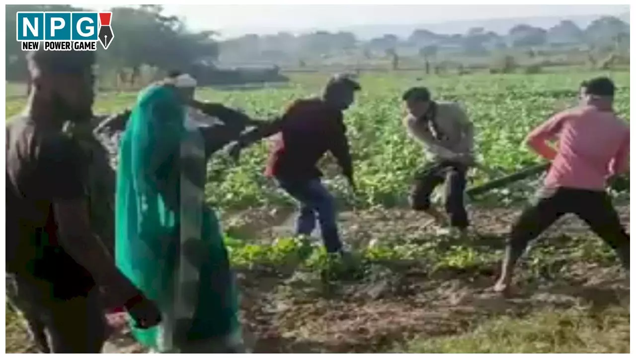 Shivpuri News: सरपंच ने दलित युवक की पीट-पीटकर ली जान, मामले में CM मोहन यादव ने दिए सख्त कार्रवाई के निर्देश