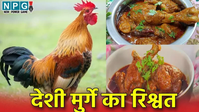 CG देशी मुर्गे का रिश्वत: बैंक मैनेजर लोन देने की एवज में किसान से खा गया 38 हजार का देशी मुर्गा