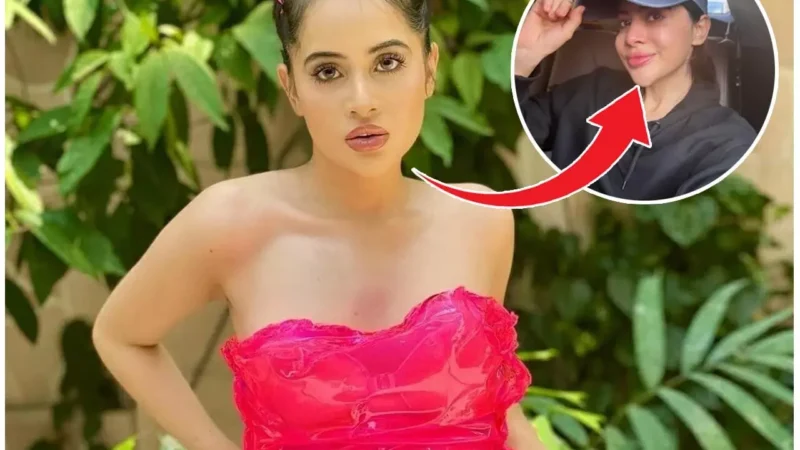 Urfi Javed News: जब ब्यूटी ट्रीटमेंट से बर्बाद हुआ था उर्फी जावेद का चेहरा, अब 8-9 साल हटाया अपना पुराना चिन फिलर…