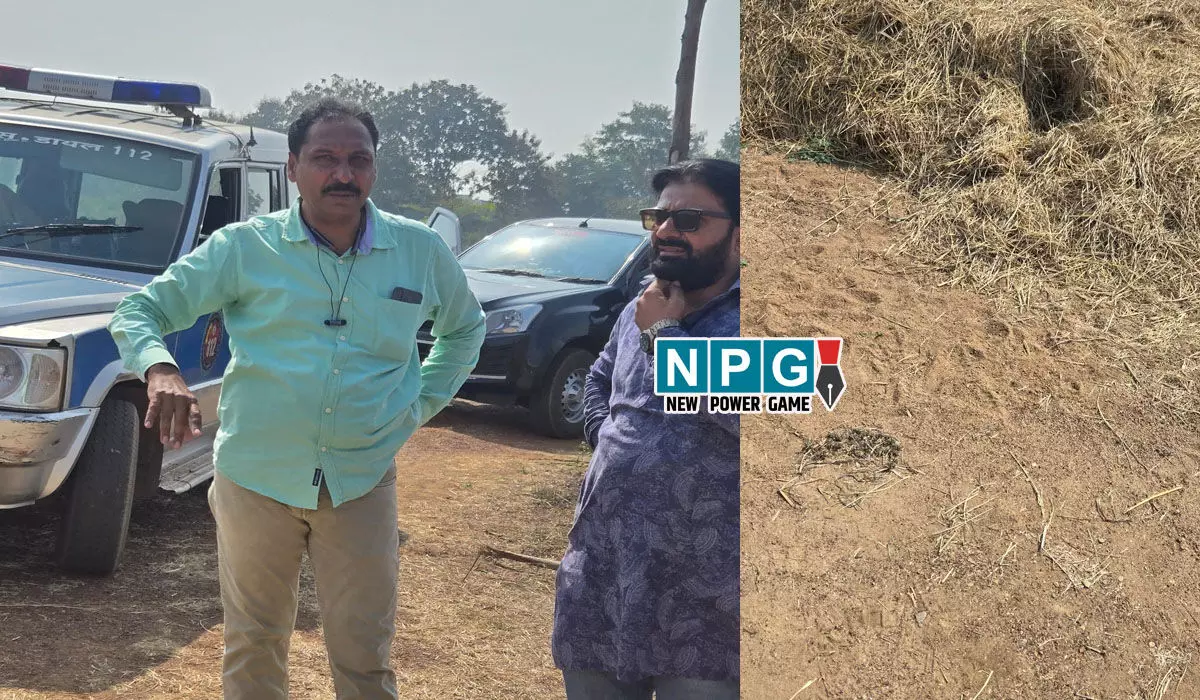 Tiger in Raipur: रायपुर में पहुंचा बाघ! मिले चहलकदमी के निशान, इलाके में दहशत, पुलिस और वन विभाग की टीम मौके पर…