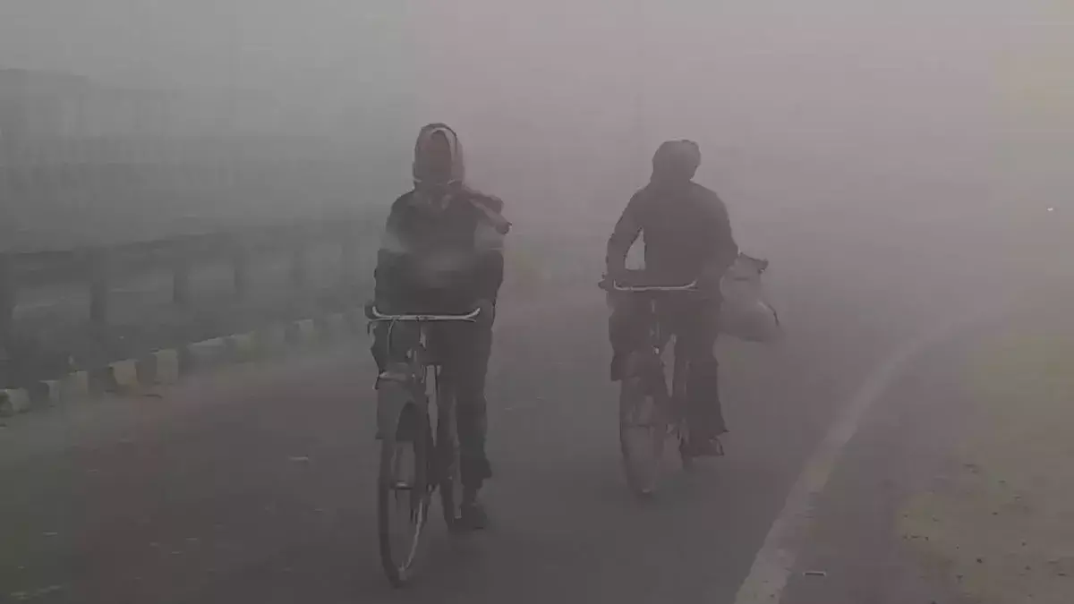 IMD Alert: दिल्ली-NCR में मौसम का हाल 7 दिसंबर तक साफ रहेगा आसमान, ठंडी हवाओं से बढ़ेगी सर्दी