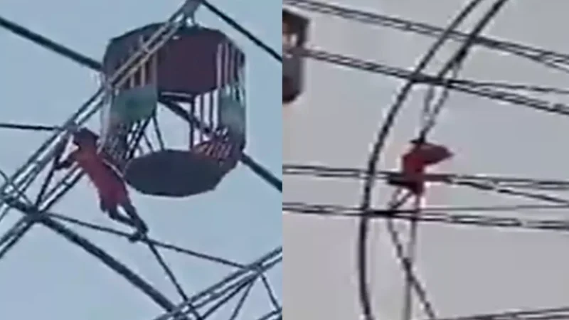 Lakhimpur Kheri Viral Video: मेले में झूला बना बच्ची की जान का दुश्मन, झूलते वक्त हुआ कुछ ऐसा जिसे देख कांप जाएगी रूह, देखें Video