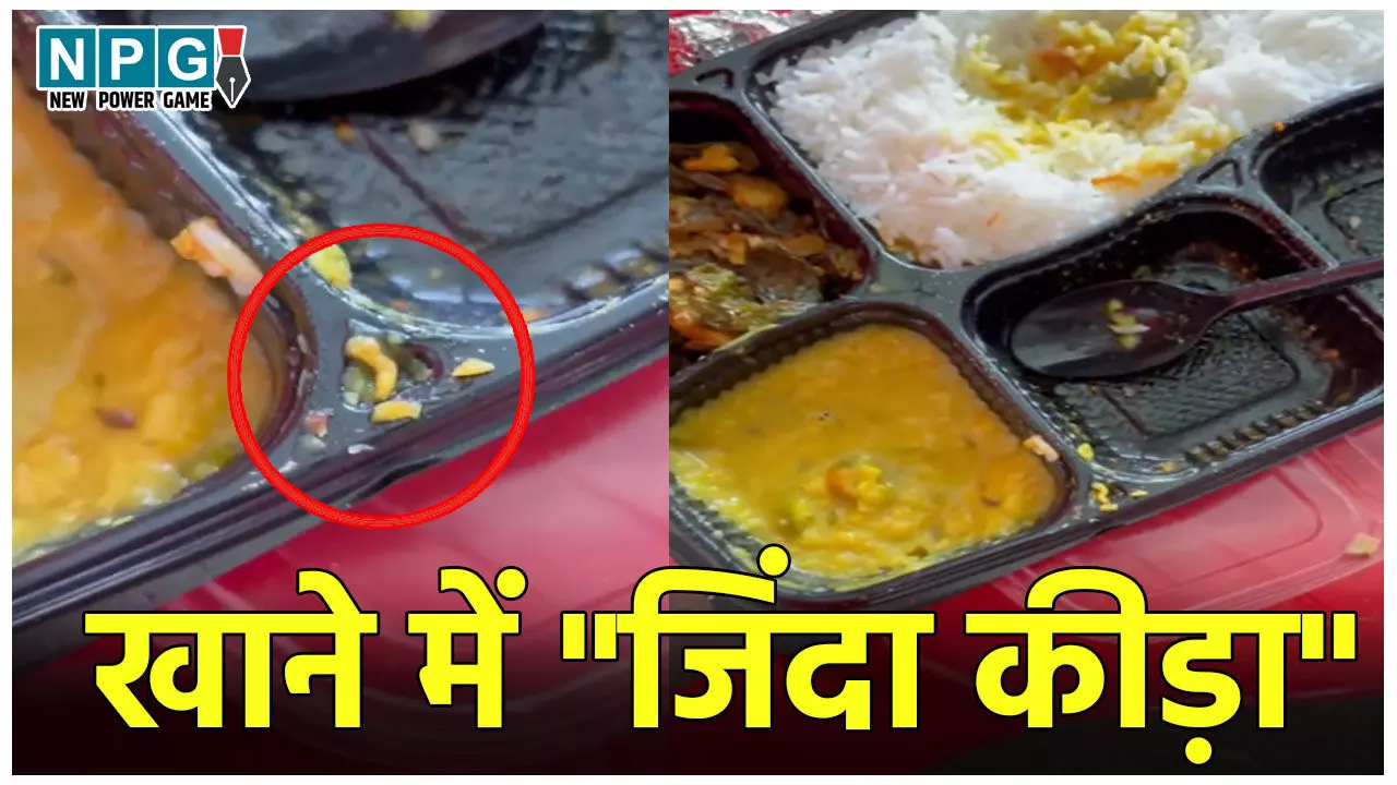 CG News: फॉरेस्ट गार्ड भर्ती में बड़ी लापरवाही, ड्यूटी में तैनात जवान के खाने में निकला "जिंदा कीड़ा", डीएफओ ने दिया ये तर्क