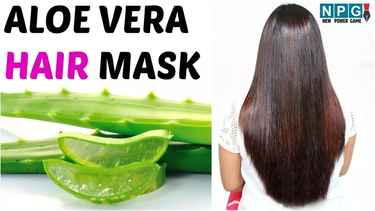 Winter Hair Care: सर्दी में बाल झड़ रहे हैं पतझड़ की तरह? ये सात तरह के हेयर मास्क तेजी से रोकेंगे बालों का झड़ना…