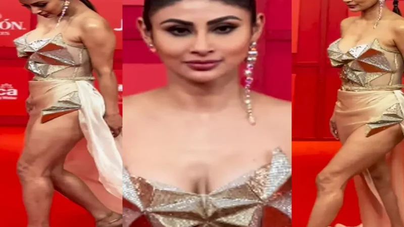 Mouni Roy Oops Moment: ऊप्स मोमेंट का शिकार हुई मौनी रॉय, बार-बार खिसकने लगा ब्लाउज, वायरल VIDEO देख लोग बोले- खुद को..