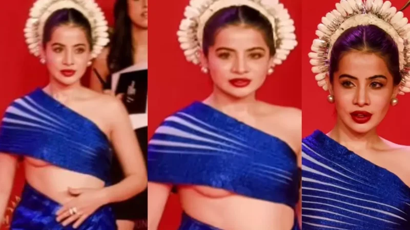 Urfi Javed Oops Moment: इवेंट में ऊप्स मोमेंट का शिकार हुईं उर्फी जावेद! कैमरे के सामने बदन से खिसका ब्लाउज, VIDEO वायरल…