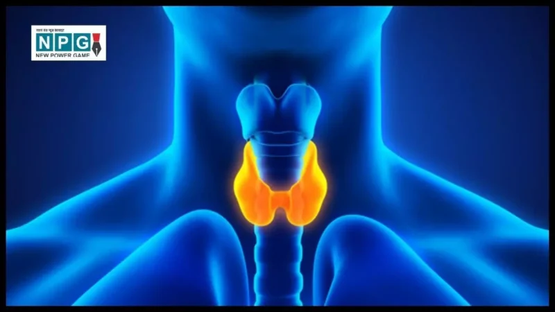 Yoga Asanas for Thyroid: थायराइड के मरीजों के लिए 5 योगासन जो लाएंगे राहत