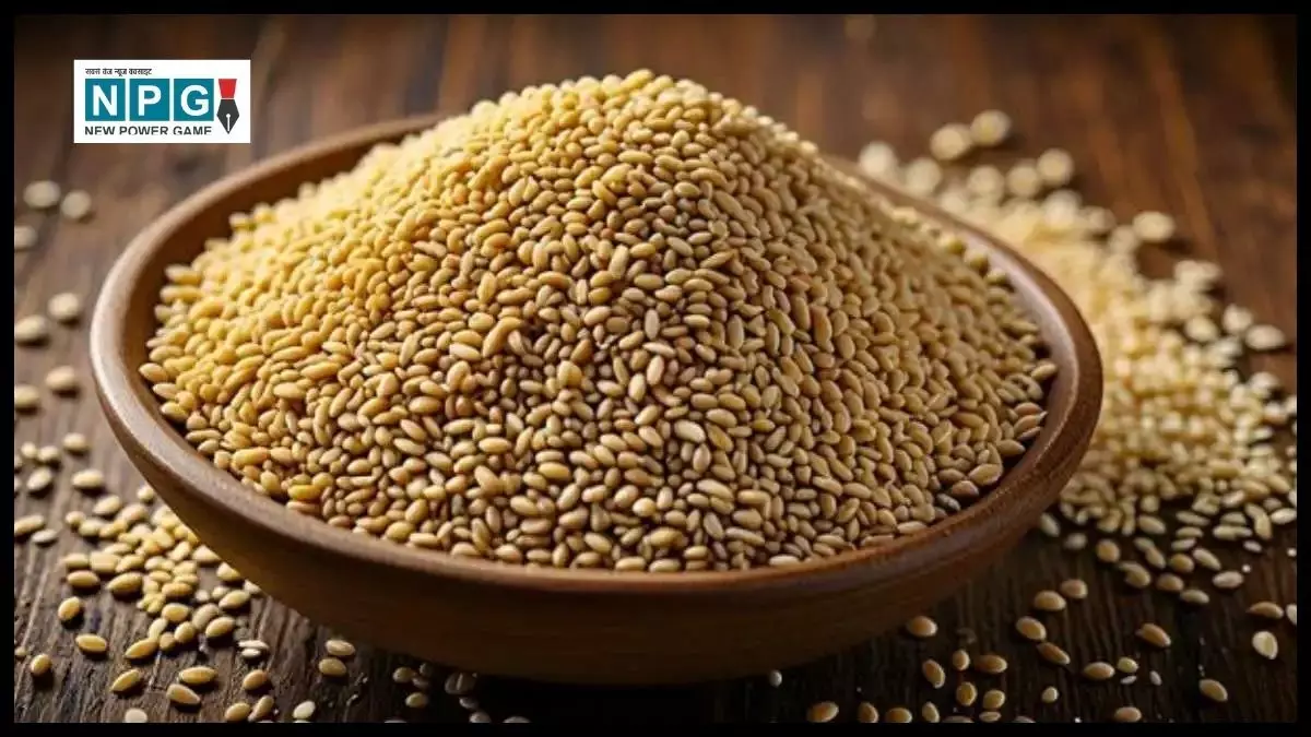 Sesame Seeds Benefits: सर्दियों में तिल के सेवन से होंगे ये अद्भुत फायदे, जानिए राजीव दीक्षित के टिप्स