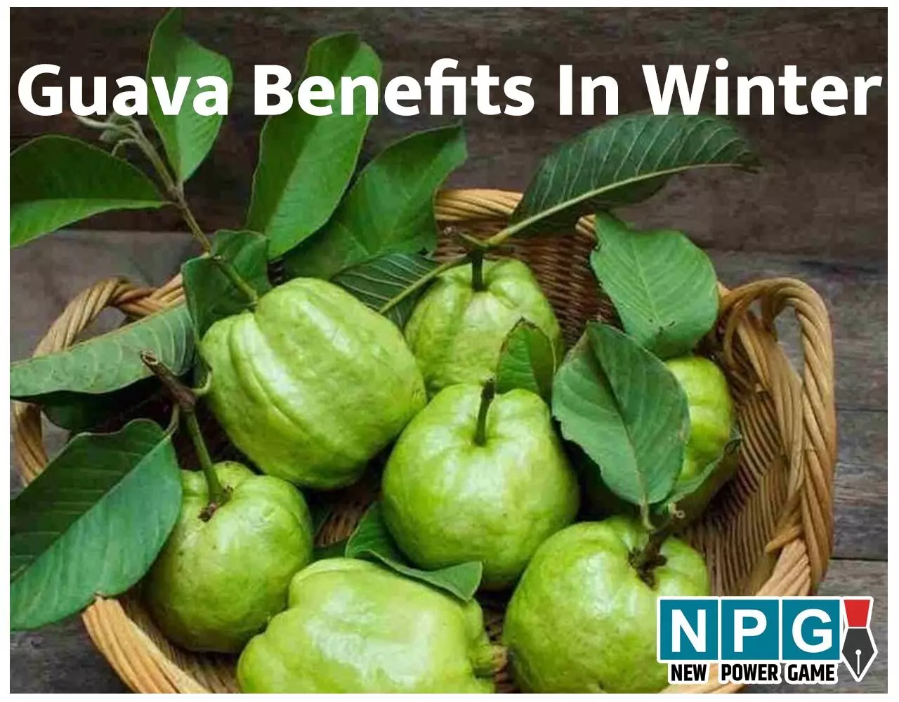 Guava Benefits In Winter: सर्दी में सर्वसुलभ देसी फल अमरूद बचाएगा सर्दी जुकाम, हार्ट अटैक समेत इन बीमारियों से, खाएं रोज़ाना…