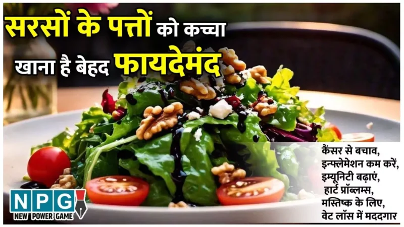 Benefits Of Eating Raw Mustard Greens: सरसों के साग से ज्यादा फायदेमंद है सरसों के पत्तों को कच्चा चबाकर खाना, जानिए सरसों पत्ते के सलाद के कमाल के फायदे…