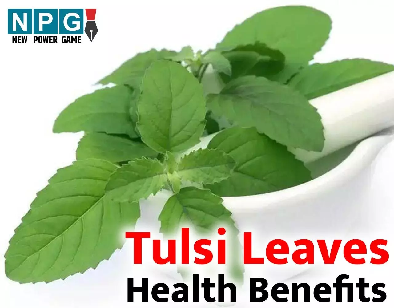 Tulsi Leaves Health Benefits: अतुलनीय है तुलसी,माँ की तरह रखती है ख्याल, ऐसे करेंगे इस्तेमाल तो ढेरों रोग रहेंगे दूर…