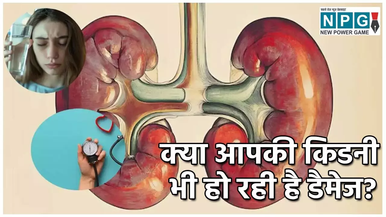 Kidney Damage Causes: क्या आपकी किडनी भी हो रही है डैमेज? जानें इसके कारण, संकेत और बचाव के उपाय!…