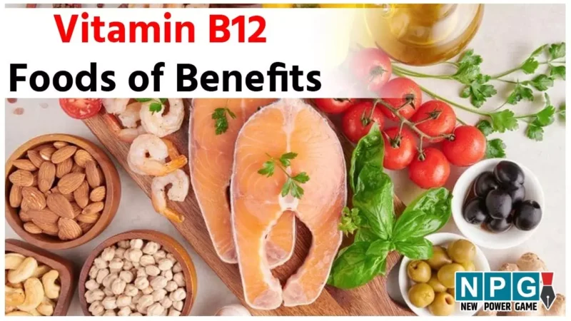 Vitamin B12 Foods: इन 7 स्वादिष्ट इंडियन करी के जरिए पाएं विटामिन बी-12 की कमी से छुटकारा…