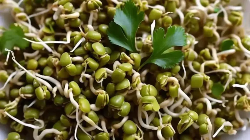 Consuming sprouts: सेहत के लिए क्यों हैं फायदेमंद? जानें हार्ट स्पेशलिस्ट से