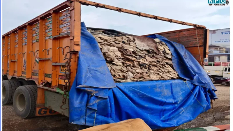CG के इस शहर में गाेवंश की खाल से भरा मिला ट्रक, नागपुर से सप्लाइ होने की बात आ रही सामने