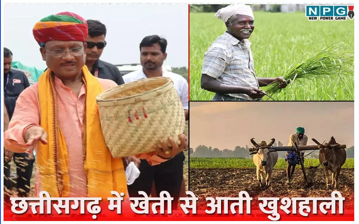 खेती से आती खुशहालीः विष्णु देव साय की सरकार ने कृषि समृद्धि से निकाला खुशहाली का रास्ता, किसानों के चेहरे पर बिखरी रौनक