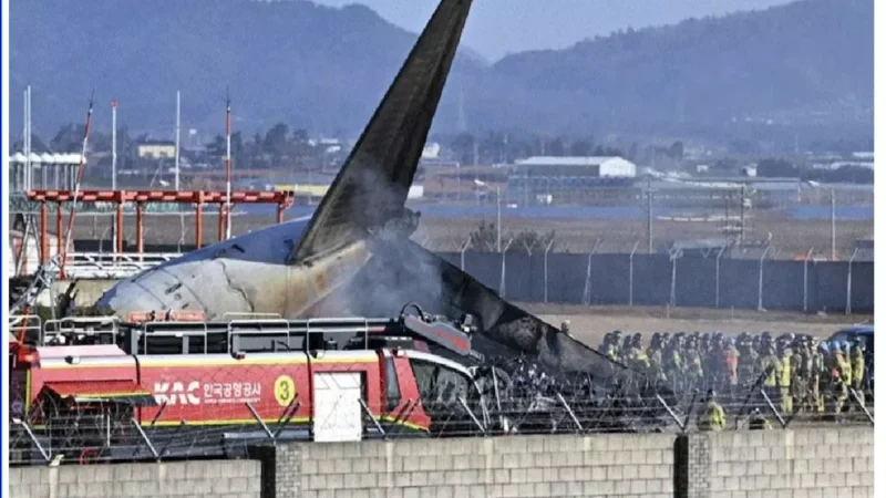 यात्री विमान क्रेश: 179 लोगों की मौत, पक्षियों के झुंड से टक्कर, लैंडिंग की कोशिश में प्लेन क्रेश…