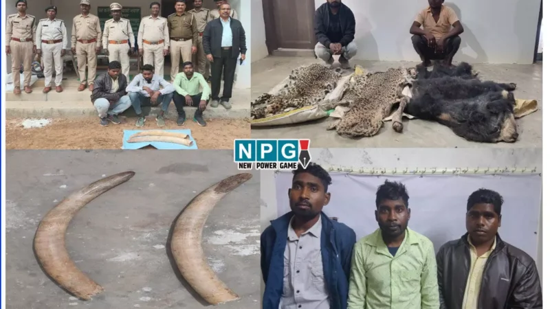 Balrampur News: हाथी दांत, तेंदुआ और भालू की खाल तस्करी, वन विभाग की टीम ने पांच आरोपी को किया गिरफ्तार