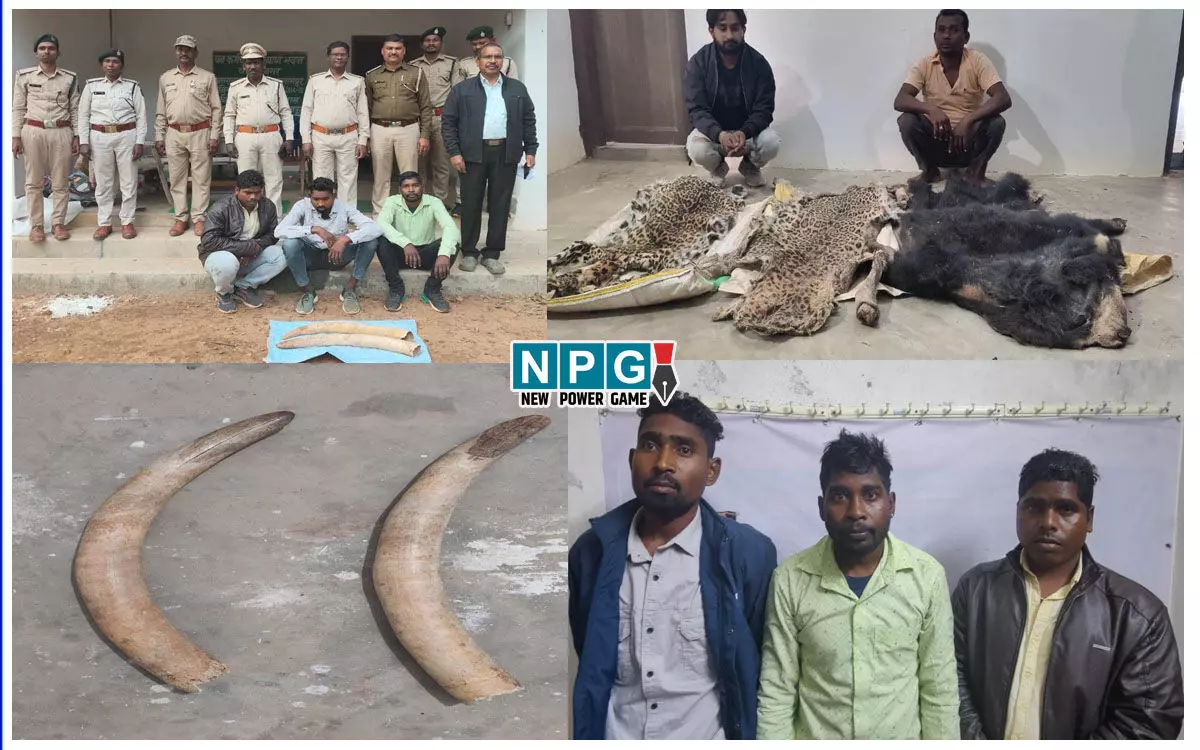 Balrampur News: हाथी दांत, तेंदुआ और भालू की खाल तस्करी, वन विभाग की टीम ने पांच आरोपी को किया गिरफ्तार