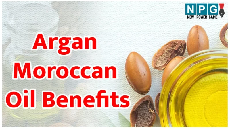 Argan Moroccan Oil Benefits: 25 की उम्र में देखते हैं 40 के तो आपके लिए ही है आर्गन मोरक्कन ऑइल, फेस, बालों और नाखूनों के लिए बेहद फायदेमंद…