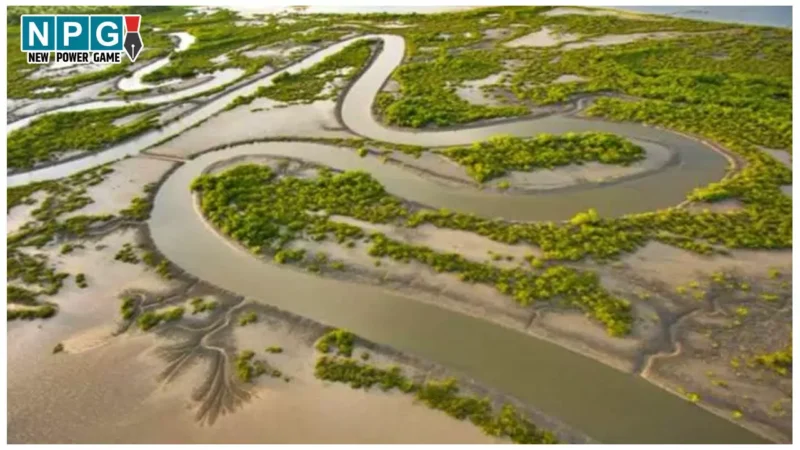 MP News: मध्यप्रदेश ने 2024 में लिखा नया अध्याय, देश की दो बड़ी नदी जोड़ो परियोजनाओं का प्रदेश में हुआ आगाज