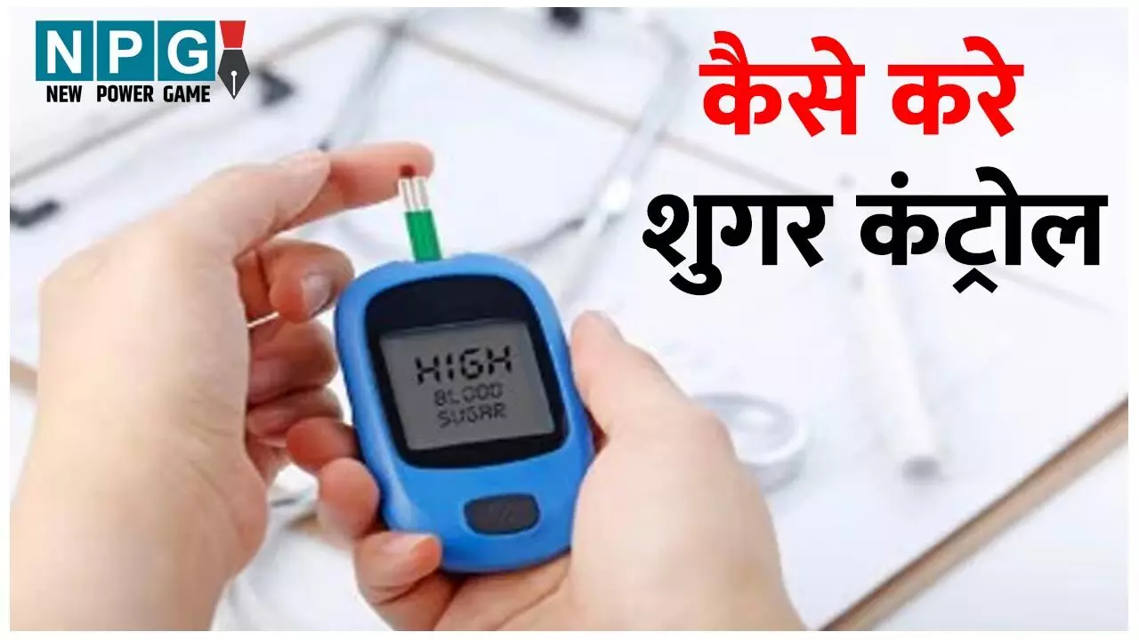 Home Remedies To Control Blood Sugar Naturally: इन आसान घरेलू उपायों से कंट्रोल होगा शुगर लेवल, पढ़िए काम की खबर…