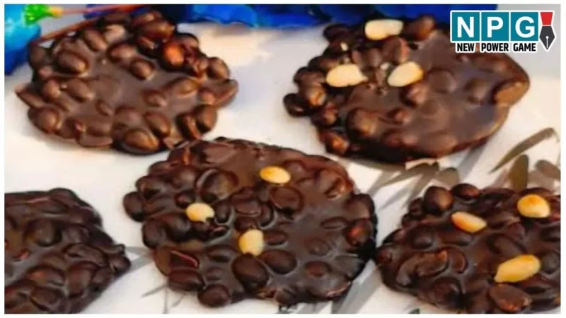 Healthy Chocolate Peanut Chikki: बच्चों को बनाकर खिलाएं हेल्दी और टेस्टी चॉकलेट पीनट चिक्की, न्यू ईयर बनेगा खास…