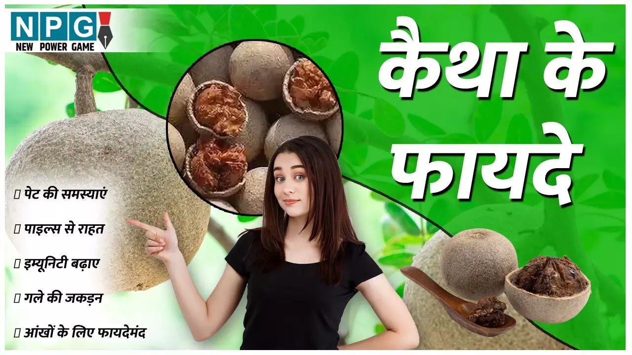 Kaithe Ke Fayde: इस सस्ते फल के है बड़े-बड़े फायदे, पेट की समस्याओं के लिए रामबाण, इम्यूनिटी भी बढ़ाए…