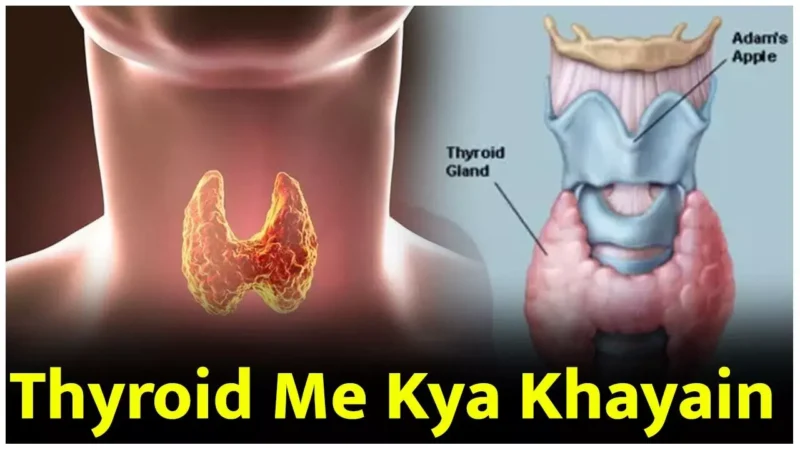 Thyroid Me Kya Khayain: थायराॅइड के पेशेंट हैं तो खाने में शामिल करें ये चीज़ें, महिलाओं के लिए भी है यहां खास जानकारी…