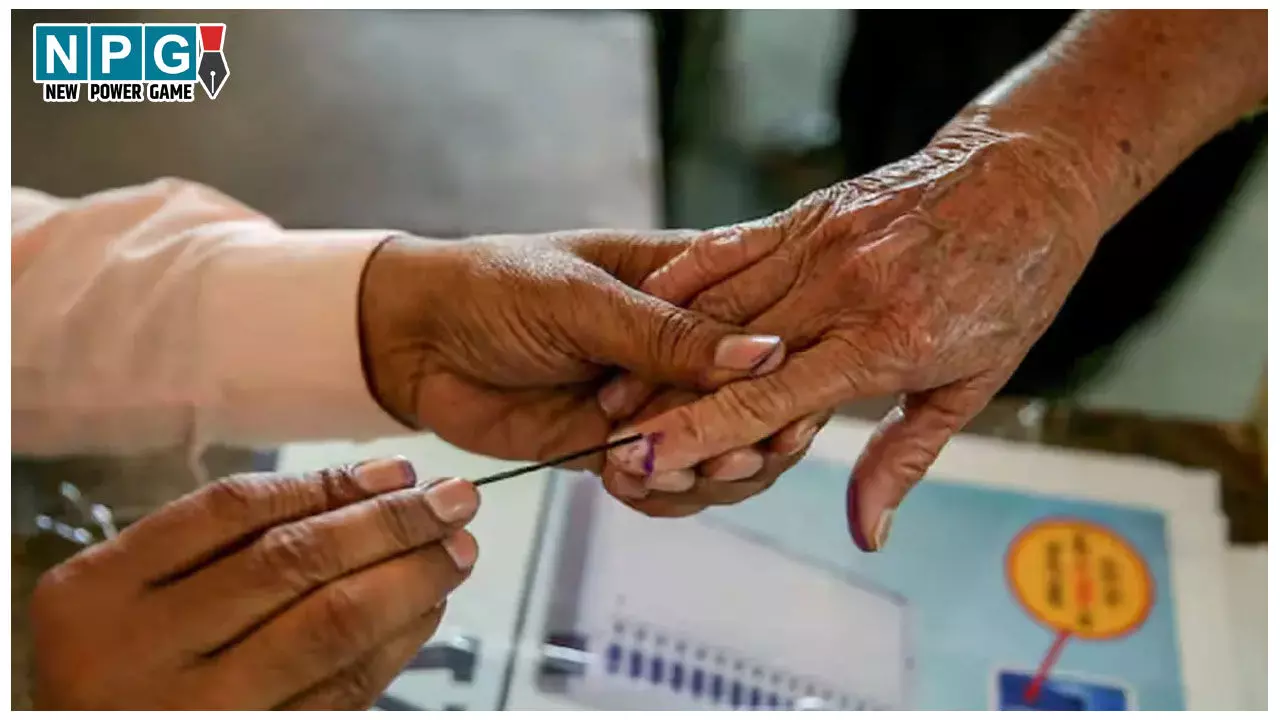 CG Election 2025: 29 साल में मेयर का पद तीन बार रहा सामान्य,  दो बार सामान्य व एक बार ओबीसी वर्ग से बने मेयर