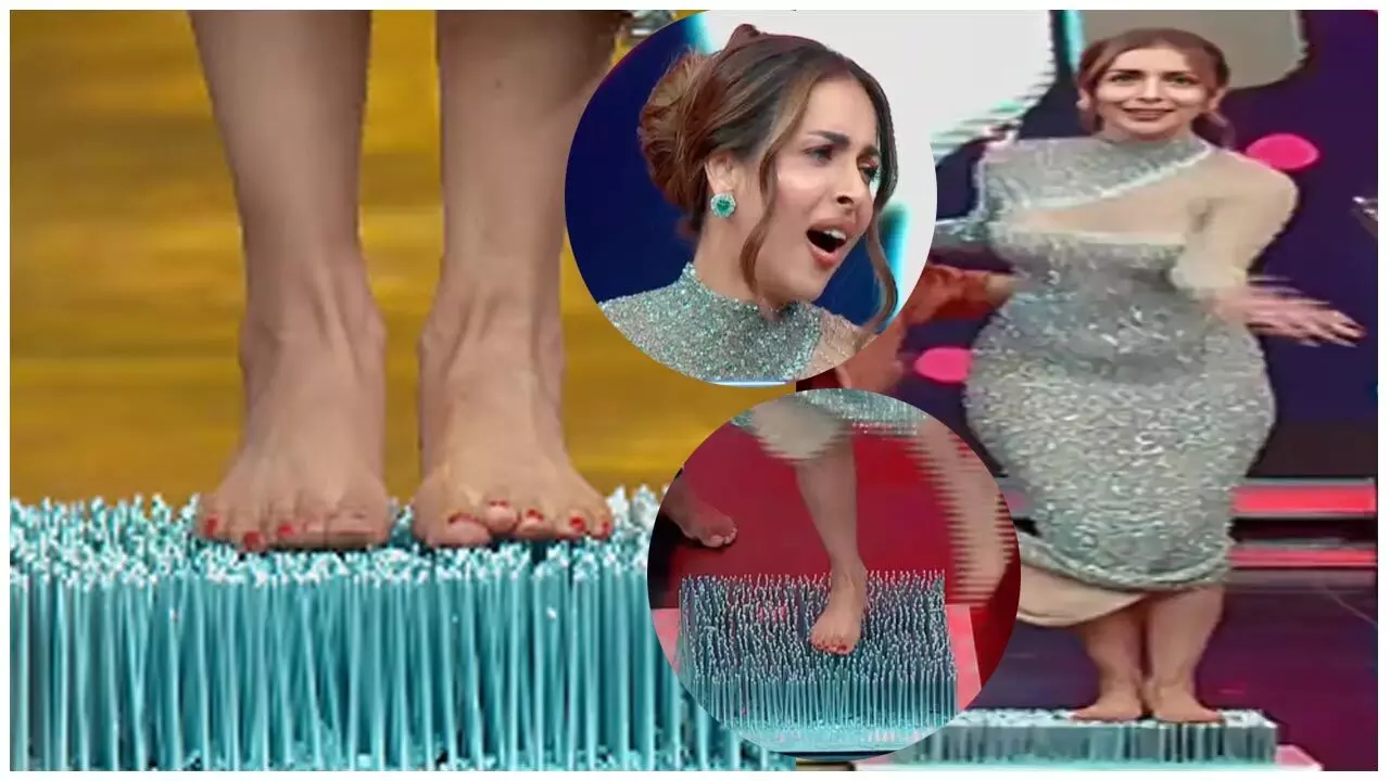 Malaika Arora Video: OMG! कीलों पर खड़ी होकर मलाइका अरोड़ा ने किया ऐसा डांस, 'अनारकली' की मूव्स देख फटी की फटी रह गई सबकी आंखें…