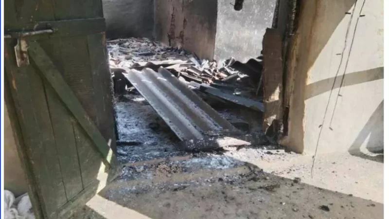 Raigarh Crime: एक ही परिवार के 3 लोगों की लाश मिली, मां-बेटी की जली हुई और पति का शव फंदे से लटका मिला