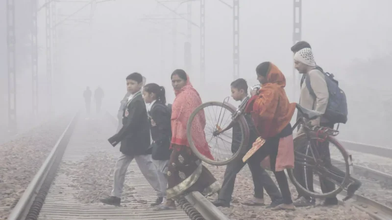 Aaj ka Mausam Kaisa Rahega 11 January: उत्तर भारत शीतलहर की चपेट में, बिहार का हाल बेहाल, यातायात प्रभावित, जानिए आज के मौसम का हाल